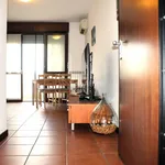 Rent 2 bedroom apartment of 55 m² in Cerro Maggiore