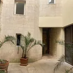 Rent 1 bedroom apartment of 53 m² in AvignonT