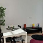 Rent 2 bedroom apartment of 40 m² in Toulon