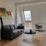 Rent 1 bedroom apartment of 50 m² in berlin