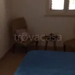 Rent 2 bedroom apartment of 40 m² in Marsala