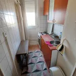 Rent 1 bedroom apartment in Pécs