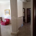 Rent 3 bedroom apartment of 80 m² in Roma