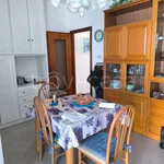 Rent 2 bedroom apartment of 50 m² in Spotorno