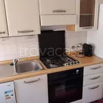 Rent 3 bedroom apartment of 80 m² in Bologna