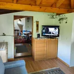 Rent 1 bedroom apartment of 35 m² in Merano