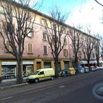 Rent 3 bedroom apartment of 67 m² in Bologna