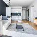 Rent 1 bedroom apartment of 614 m² in vienna