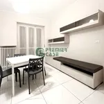 Rent 2 bedroom apartment of 45 m² in Turin