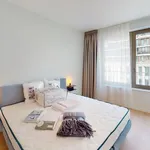 Rent 1 bedroom apartment in Antwerpen