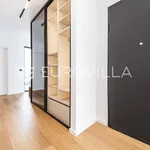 Rent 3 bedroom apartment of 154 m² in Zagreb