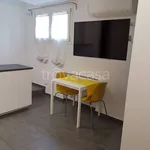 Rent 1 bedroom house of 23 m² in Padova