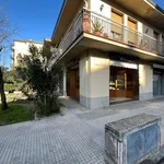 Rent 1 bedroom apartment of 60 m² in Firenze