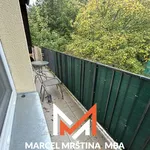 Rent 2 bedroom apartment of 53 m² in Náchod