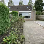 Huur 3 slaapkamer appartement van 74 m² in oude-tonge