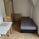 Rent 1 bedroom apartment of 170 m² in Brno