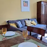 Rent 2 bedroom apartment of 50 m² in Firenze