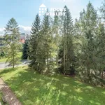 Rent 1 bedroom apartment in Lanškroun