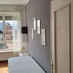 Rent a room in turin