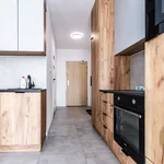 Rent 2 bedroom apartment of 33 m² in Polesie