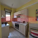 Rent 3 bedroom apartment of 60 m² in Santa Marinella