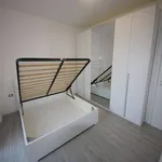 Rent 2 bedroom apartment of 58 m² in Monza