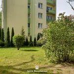 Rent 2 bedroom apartment of 49 m² in Łódź