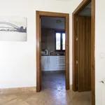 Alquilo 4 dormitorio apartamento de 110 m² en Madrid