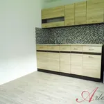 Rent 1 bedroom apartment of 29 m² in Ostrava