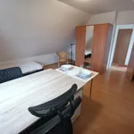 Rent 1 bedroom apartment of 170 m² in Brno