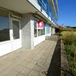 Rent 2 bedroom apartment of 47 m² in Zuid-West