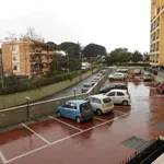 Affitto 1 camera appartamento di 36 m² in Roma