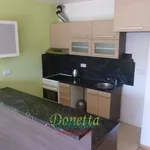 Rent 1 bedroom apartment in Hradec Králové