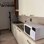 Affitto 1 camera appartamento di 32 m² in Piacenza