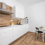 Najam 1 spavaće sobe stan od 41 m² u Rijeka