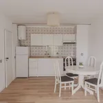 Rent 1 bedroom apartment of 55 m² in porto