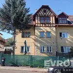 Rent 1 bedroom apartment of 45 m² in Liberec