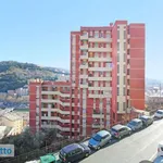 Rent 4 bedroom apartment of 57 m² in Genoa