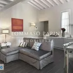 Rent 3 bedroom apartment of 70 m² in Florence