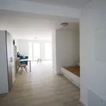 Rent 1 bedroom apartment of 28 m² in Nürnberg