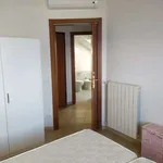 Appartamento arredato con terrazzo Centro