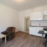 Pronajměte si 2 ložnic/e byt o rozloze 36 m² v Prague