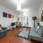 Rent 1 bedroom apartment in Florence