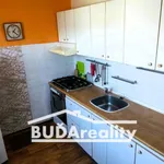 Pronájem, Byty 2+1, 52 m2 - lodžie, blízko centra