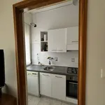 Rent 2 bedroom apartment of 50 m² in Bologna