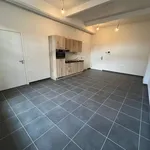 Huur 1 slaapkamer appartement in DENDERMONDE