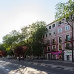 Rent 4 bedroom apartment in Madrid