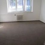 Rent 1 bedroom apartment in Ostrava