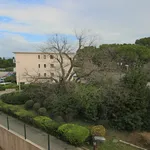 Rent 1 bedroom apartment in Montpellier