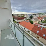 Rent 1 bedroom apartment in Plzeň